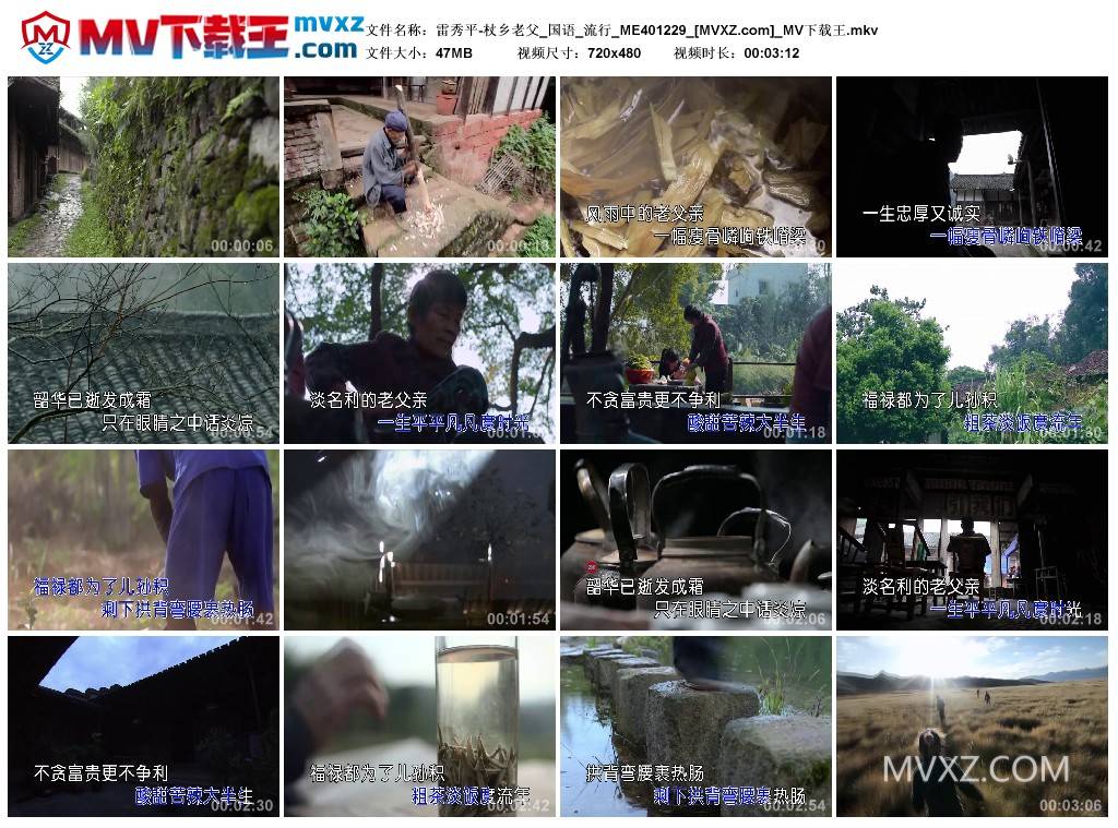 雷秀平-杖乡老父_国语_流行_ME401229